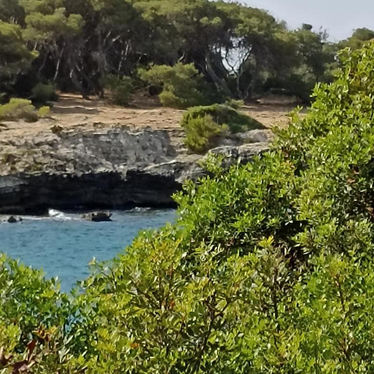 SALENTO MARE E ARTE - Apartment - Ground Floor - 5