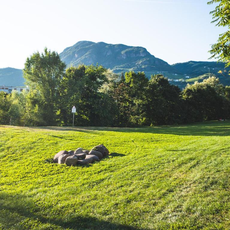 Bolzano with a view - Appartamento con 1 Camera da Letto - 3