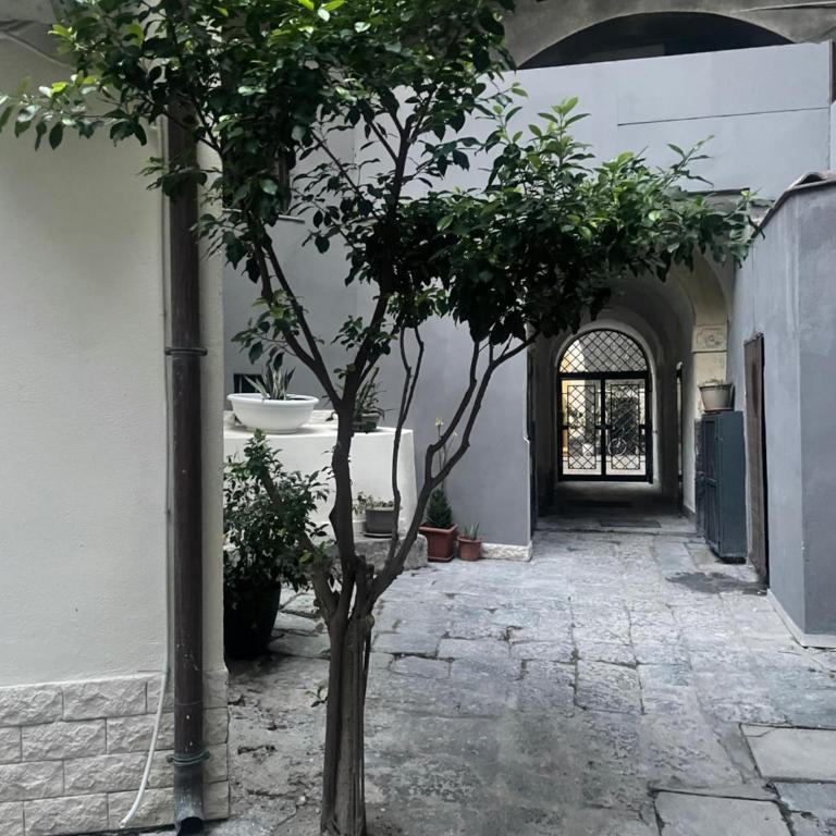 Mega House 2 - Maisonette - 3