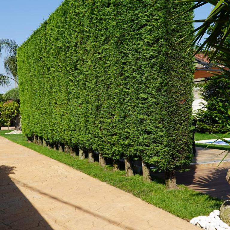 CASA JARDIN - Casa de 2 dormitorios - 20