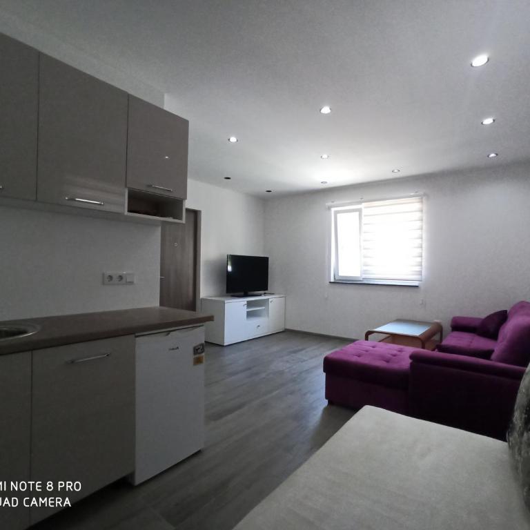 Apartmani Kula - Apartman sa 1 Spavaćom Sobom - 2