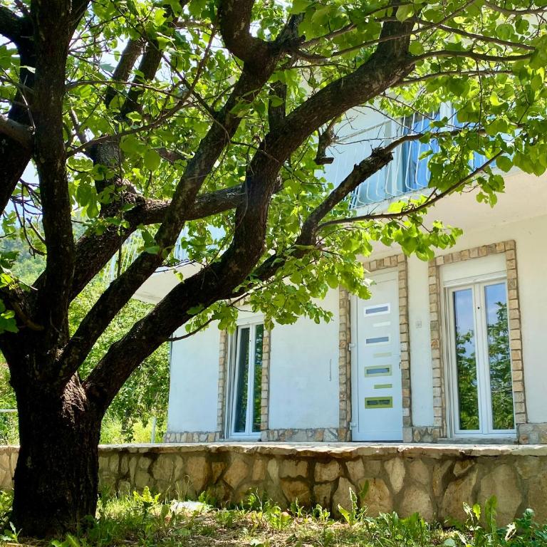 Guest House Ivano - Two-Bedroom Apartment with Balcony - 30