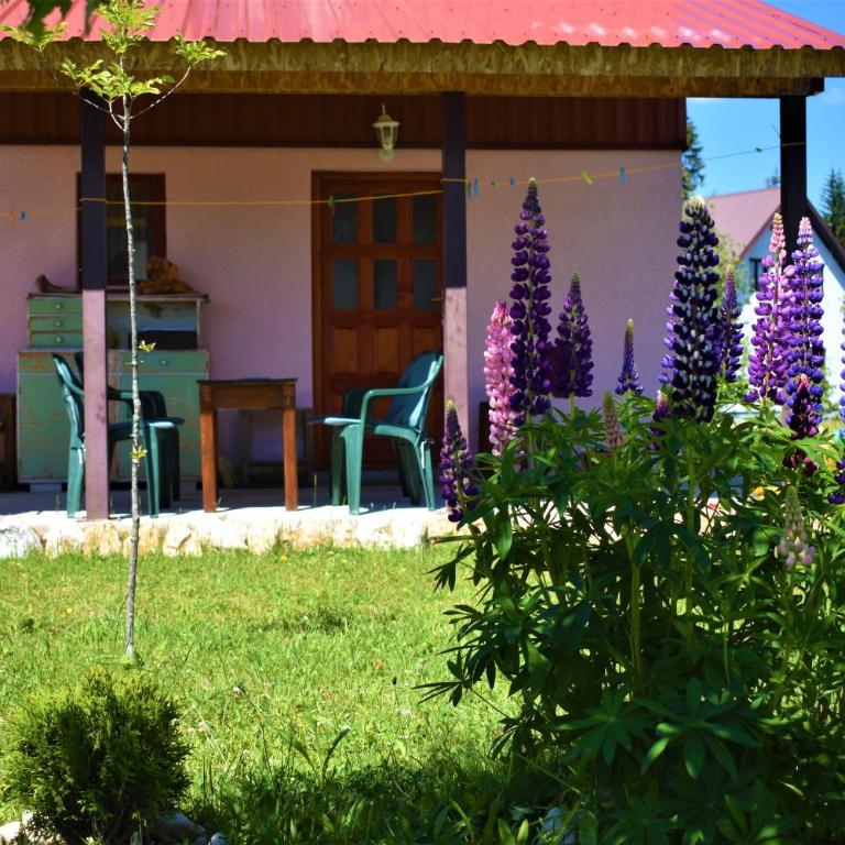 Šepić Accommodation - One-Bedroom Apartment - 53