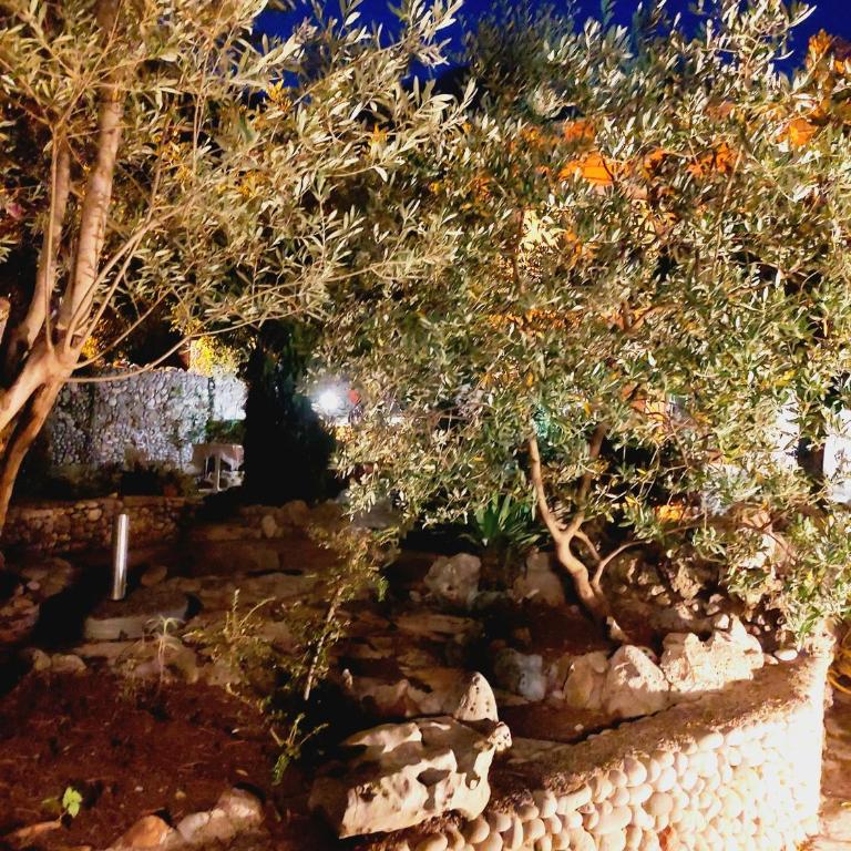 Villa Nadalina - Apartment with Sea View - 31