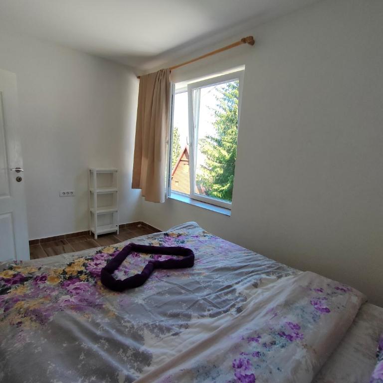 Apartment Durmitor - Apartment - Ground Floor - 4
