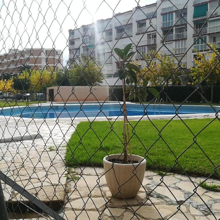 Edificio Salou Beach, la Pineda, Vilaseca - Apartment with Pool View - 70