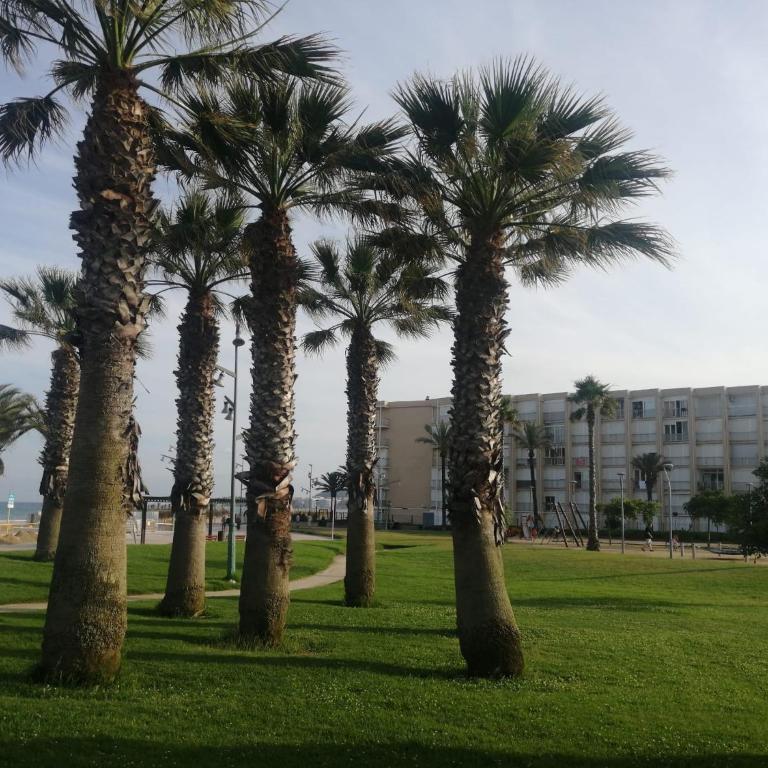 Edificio Salou Beach, la Pineda, Vilaseca - Apartment with Pool View - 62