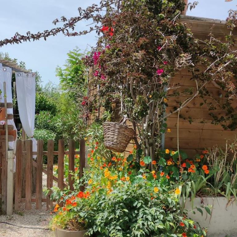 La Jovine Sur les hauteurs de cassis T2 Classé - Appartement 1 Chambre - 16