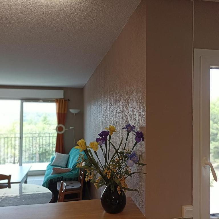Superbe T3 coeur nature, piscine, tennis - Apartamento de 2 dormitorios - 11