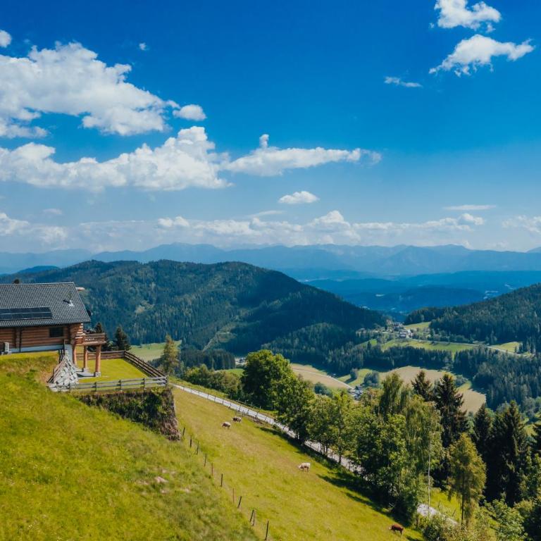 Adlerkopfhütte - Chalet mit 2 Schlafzimmern - 7