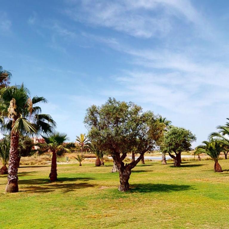 Casa Espliego P-A Murcia Holiday Rentals Property - Apartamento de 2 dormitorios - 19