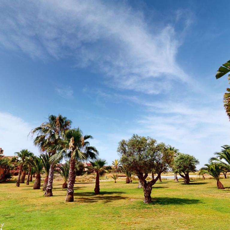 Casa Espliego P-A Murcia Holiday Rentals Property - Apartamento de 2 dormitorios - 20