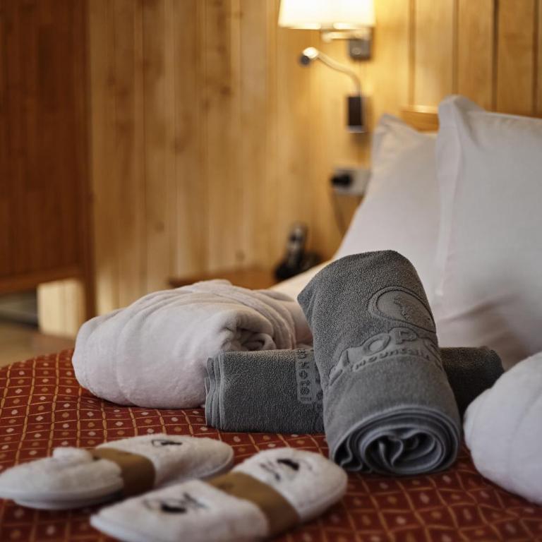 Hotel & SPA Llop Gris - Suite Jardín - 4