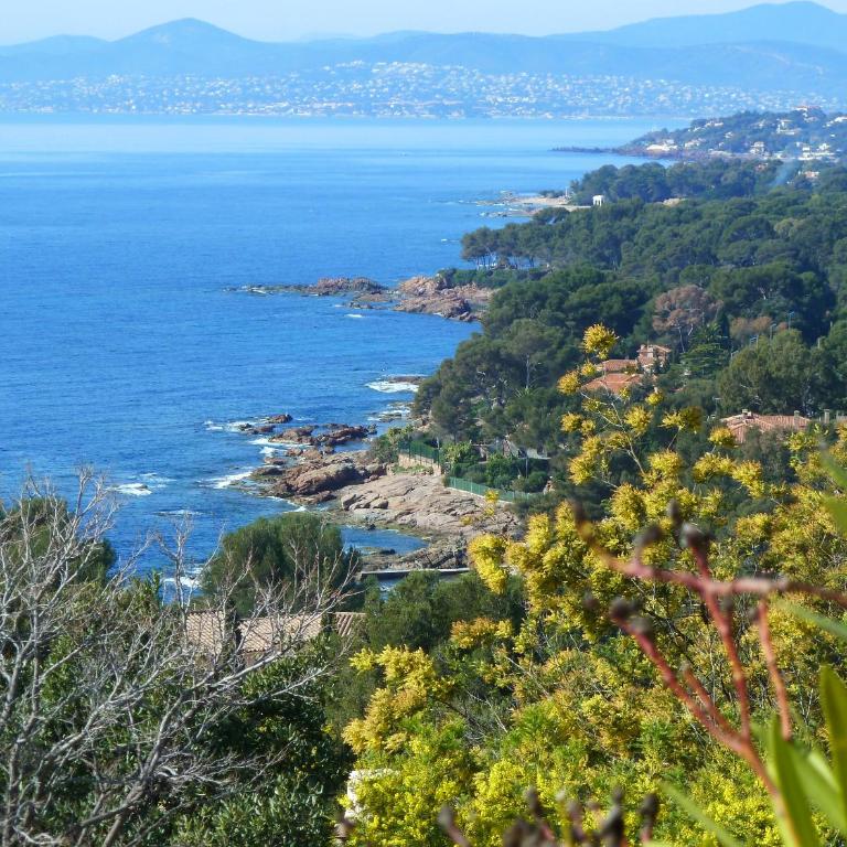 Duplex, vue panoramique sur la Méditerranée, piscine, garage - Appartamento con Vista Mare - 5