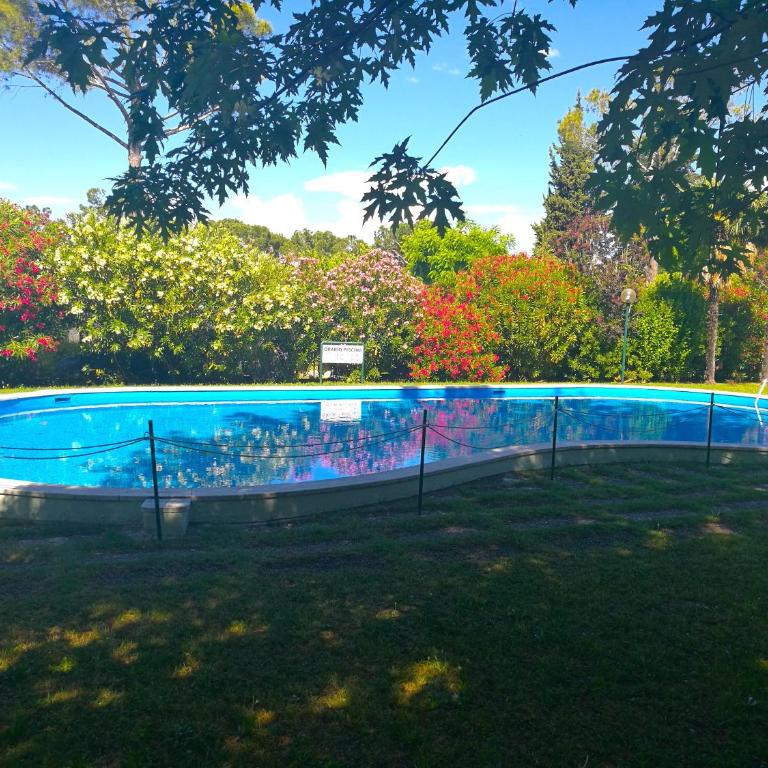 Darina - Immobiliare Azzurra - Appartamento con Vista Piscina - 27