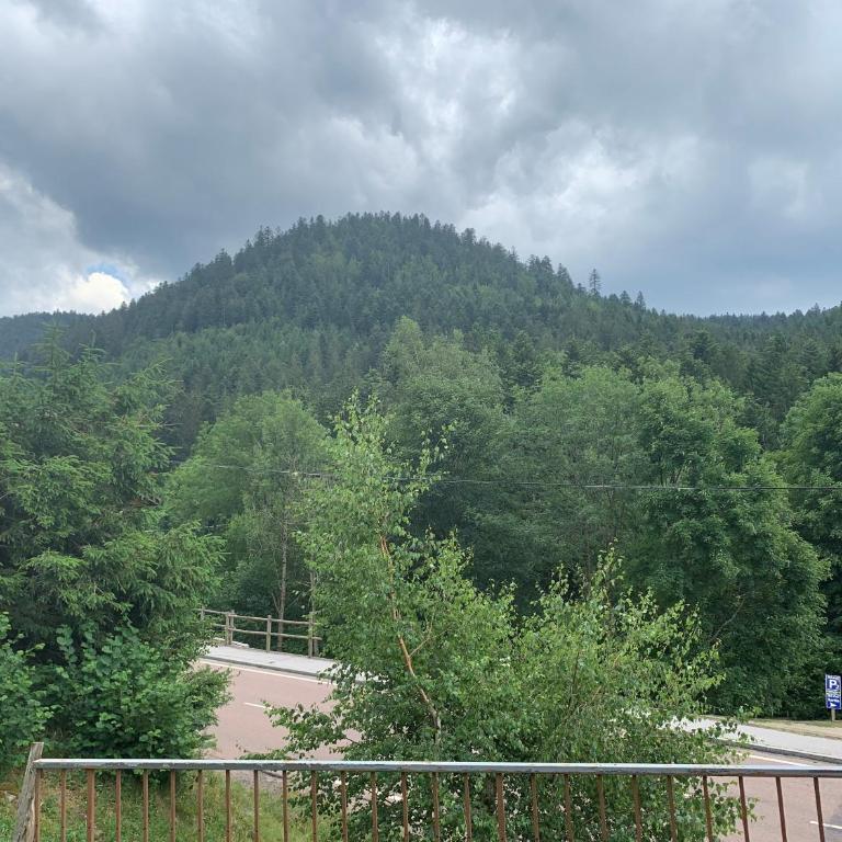 Gite de L'ours - Ferienhaus - 40