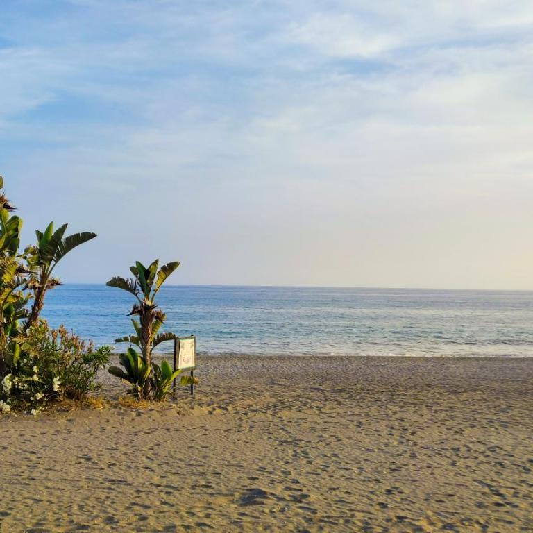 Laguna Beach Paradise - Alojamientos La Torre - One-Bedroom Apartment - 28