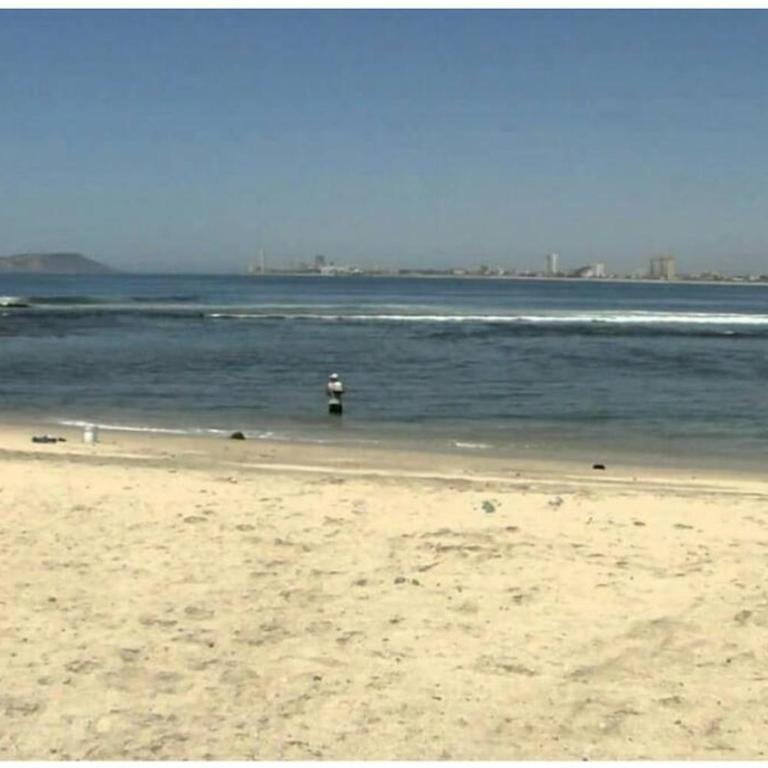 Apartmento con alberca a 50 mt del mar La Licha - One-Bedroom Apartment - 16