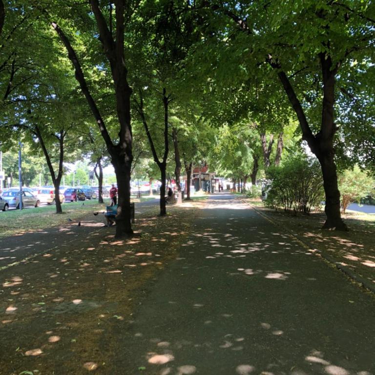 Apartment GREEN - Deluks Apartman - 27