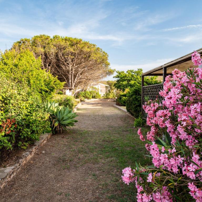 Villa Bay Pine - Klodge - Villa Fronte Spiaggia - 54