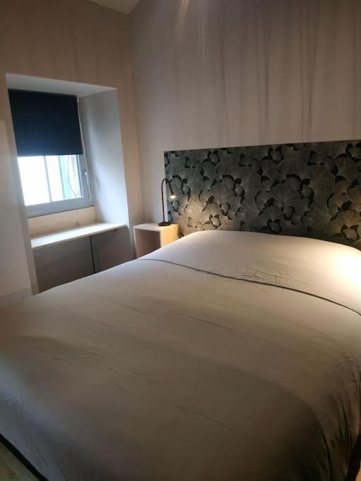Ginkobiloba : Appartement cosy en cœur de ville - Appartement 1 Chambre - 2