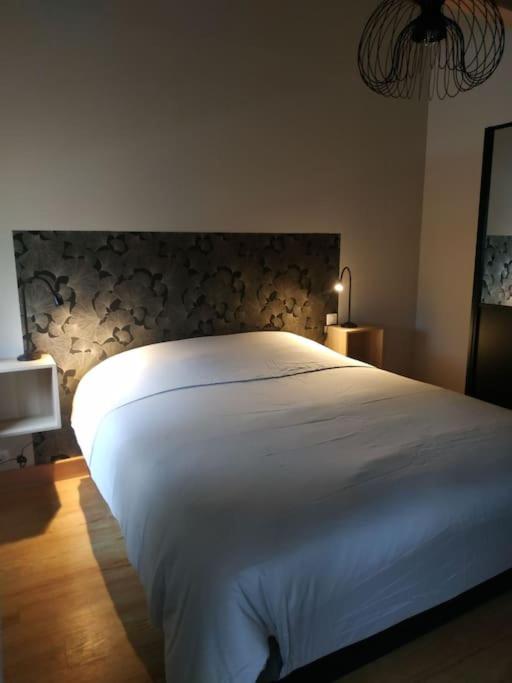 Ginkobiloba : Appartement cosy en cœur de ville - Appartement 1 Chambre - 3