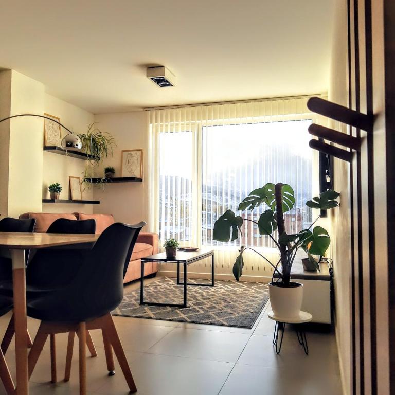 Austral 503 - Apartamento de 2 dormitorios - 9