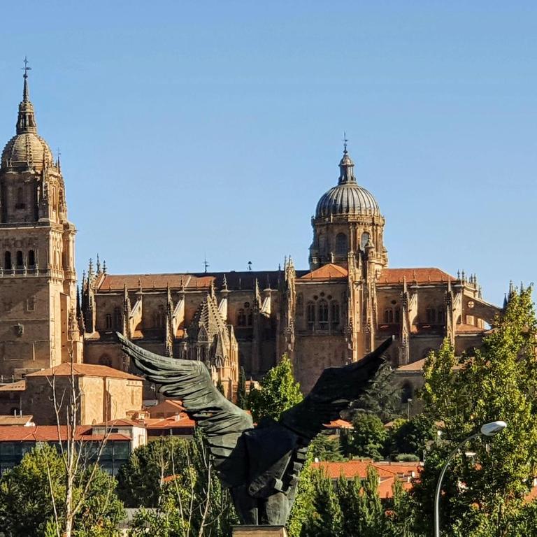 Las Mejores VISTAS de SALAMANCA!!! - Apartamento - 31
