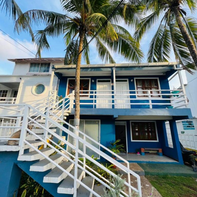 Apartamento North Wind 2 - Apartamento - 2