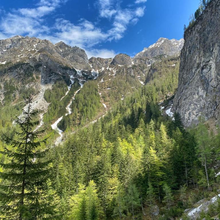 Living Mountain Lodge - Apartment mit 2 Schlafzimmern - 37