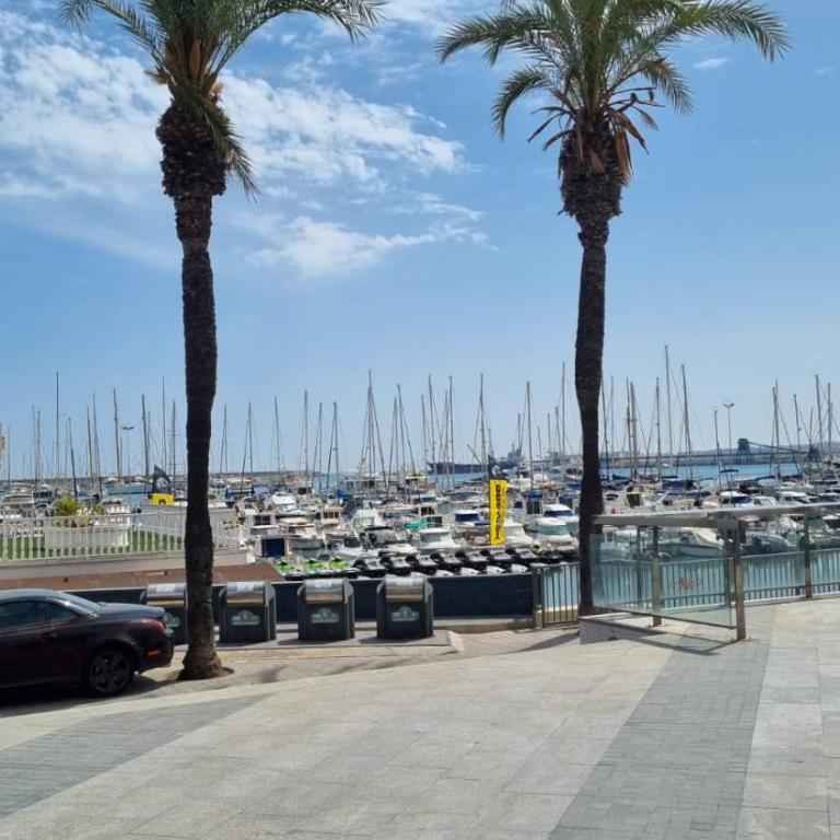 Cristina Apartments La Mata -Torrevieja - Apartamento Estudio - 19
