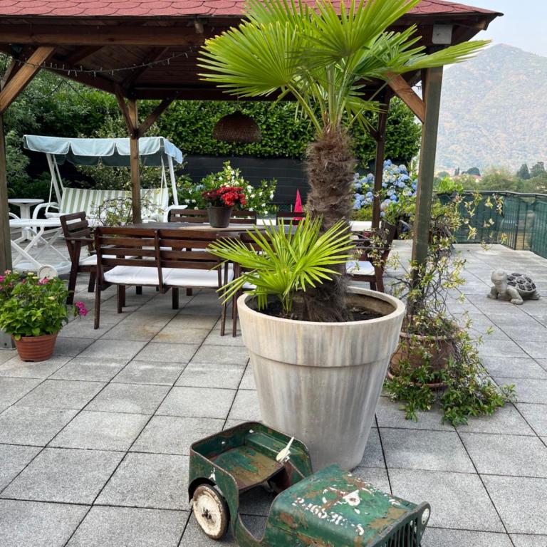 Casa Mimosa - Appartamento con 1 Camera da Letto - 3