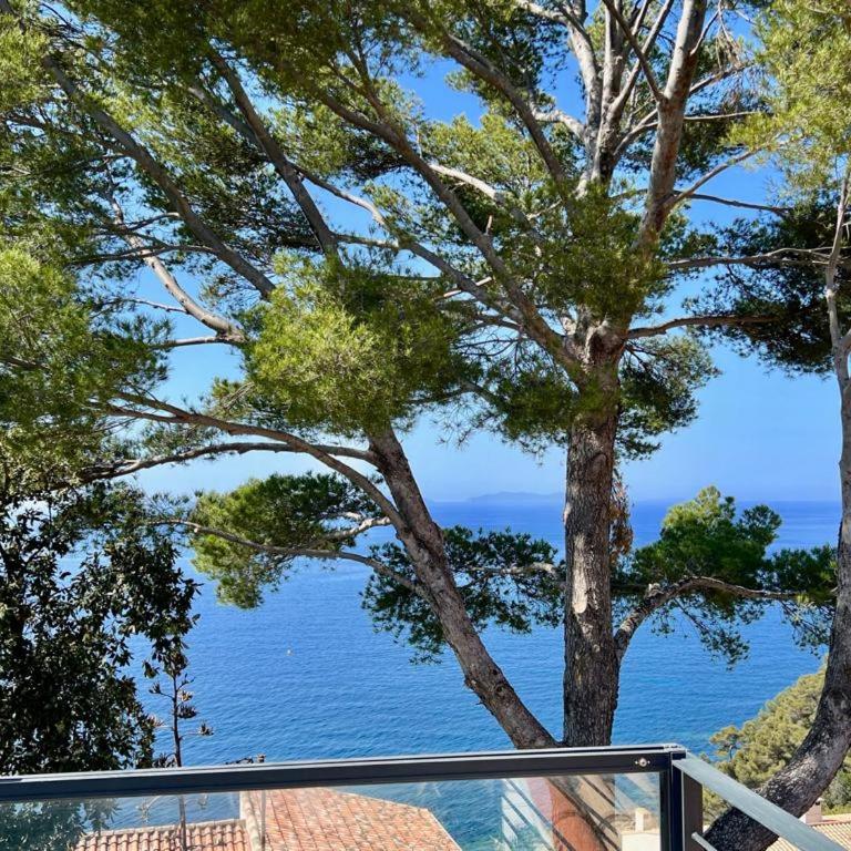 VILLA 650, Vue Mer magnifique, entièrement rénovée avec piscine - Villa - 25