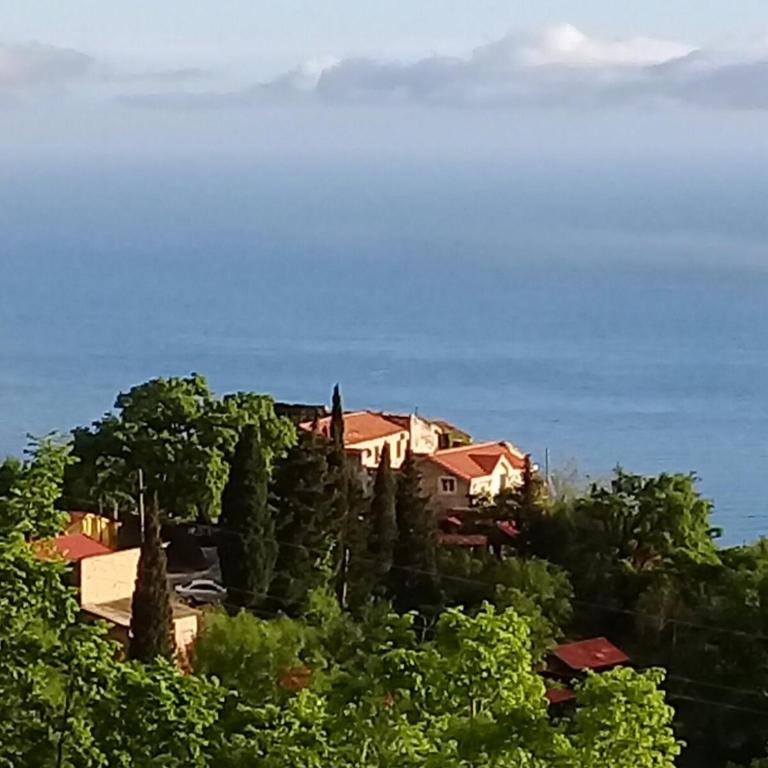 Apartment Stanisic - Apartman sa 2 Spavaće Sobe - 1