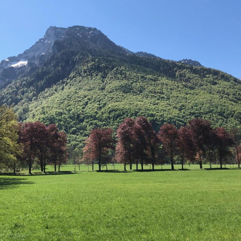 Alpin Chic - Apartment mit 3 Schlafzimmern - 7