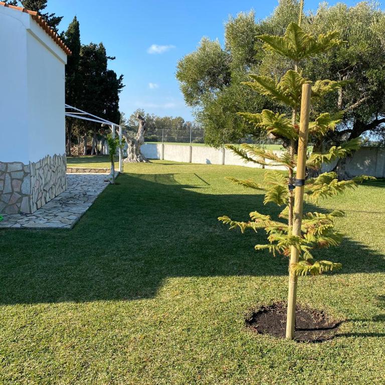 La Veguilla Bidea - Villa de 3 dormitorios - 27