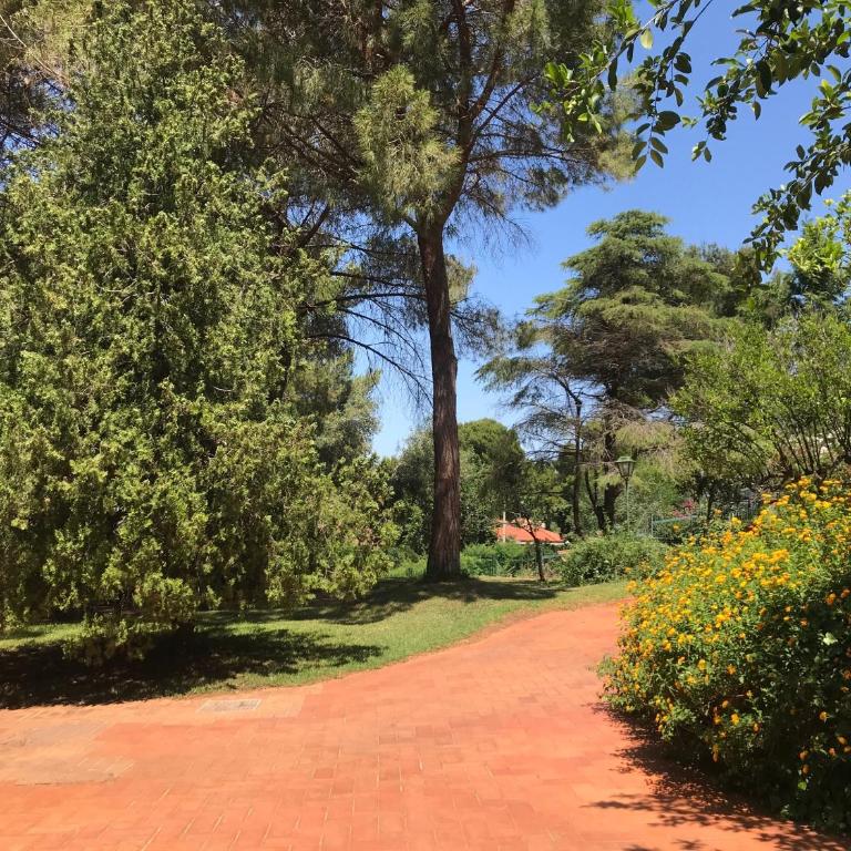 Park House - Appartamento Bilocale - 26
