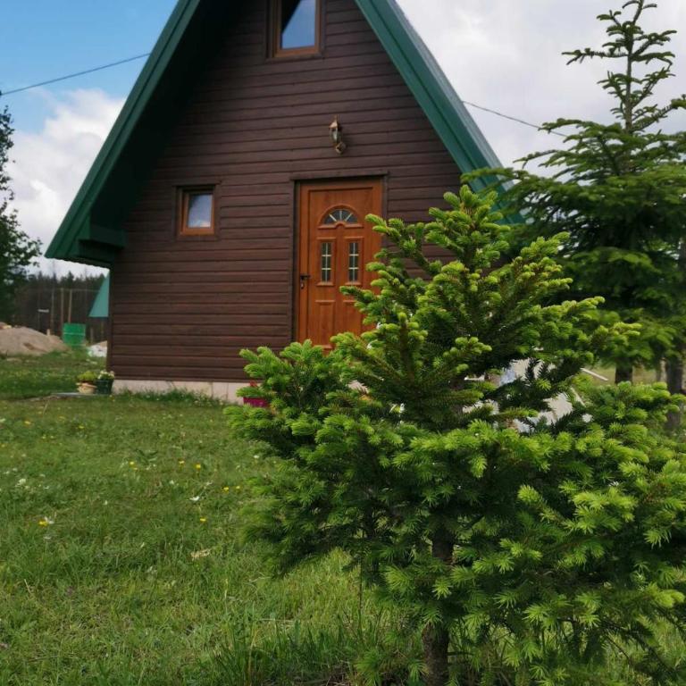 Etno Koliba Nikoleta - Brvnara sa 1 Spavaćom Sobom - 14