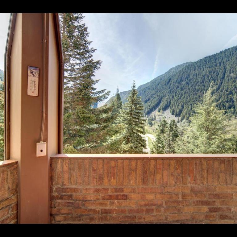 ARTIC de Alma de Nieve - Apartamento - 18