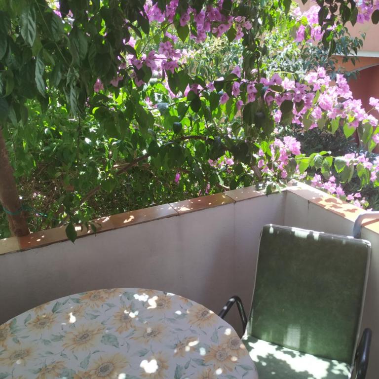 Apartmani Abeona - Dvokrevetna Soba sa Zasebnim Krevetima - 2