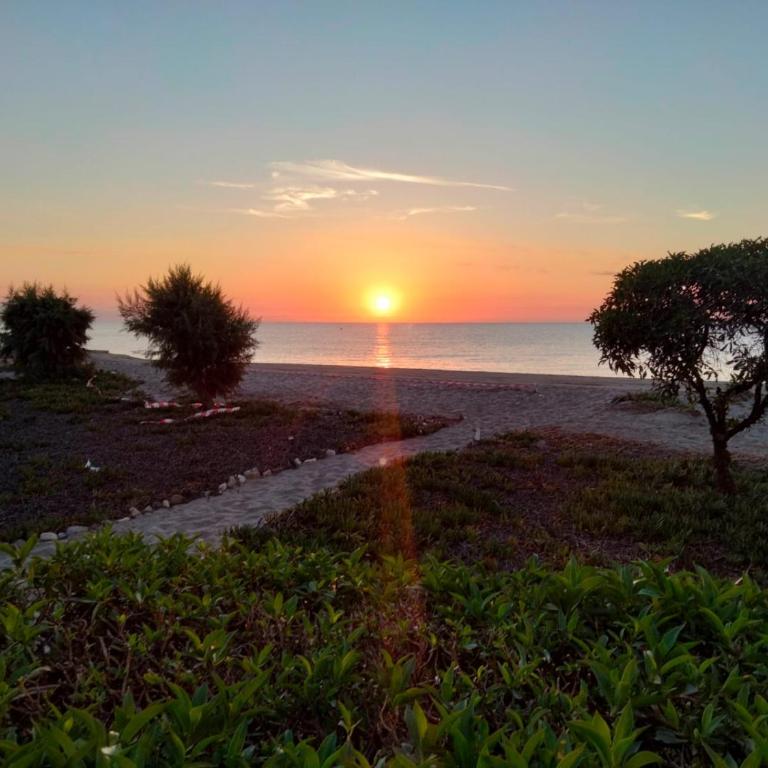 APARTAMENTO BAJO NATURISTA A PIE DE PLAYA. - Apartamento de 1 dormitorio - 9