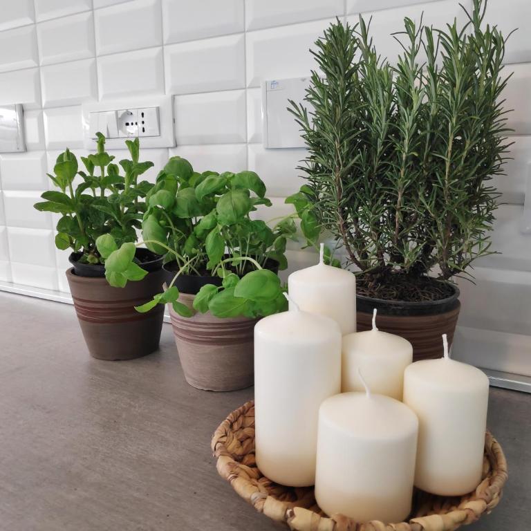 Casadei Guest House Stazione Bologna - Appartamento - 3