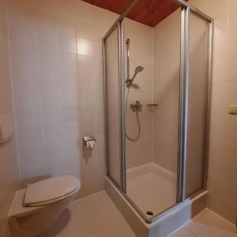 Ferienwohnung Erhart Scheffau - Apartment mit 2 Schlafzimmern und Dusche - 17