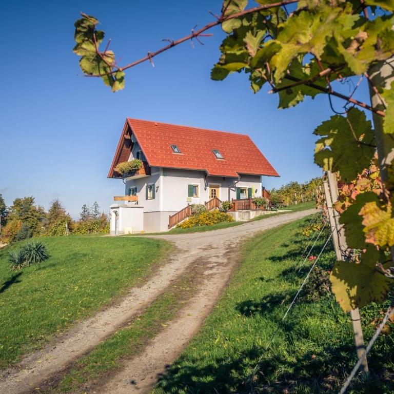Ferienwohnung Perner - die Huabm - Appartamento con 1 Camera da Letto - 1
