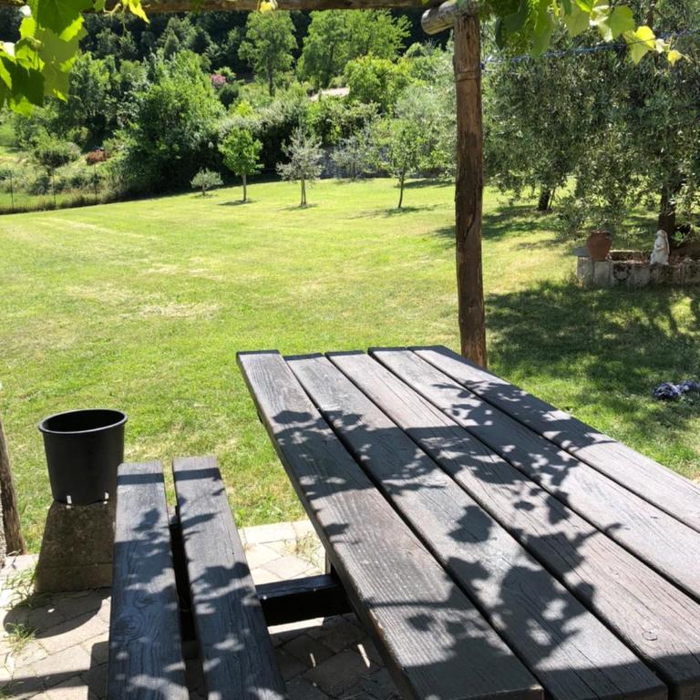 Casa Teodoro - Gelsomino, Ulivi & Orchidea - Appartamento con 1 Camera da Letto - 23