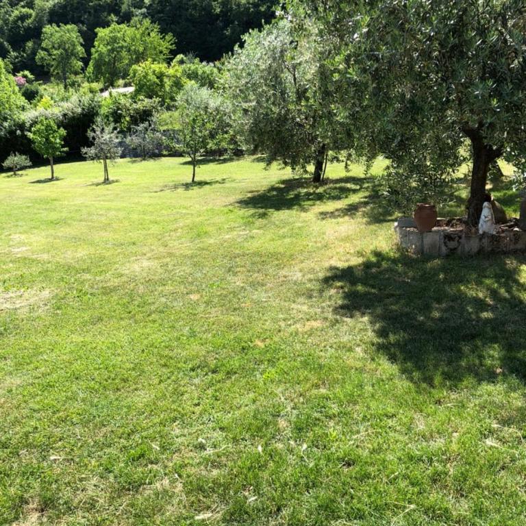 Casa Teodoro - Gelsomino, Ulivi & Orchidea - Appartamento con 1 Camera da Letto - 12