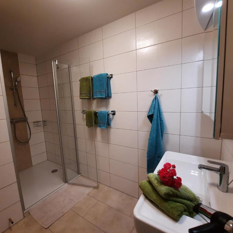 Ferienparadies Hecher Maltschachersee - Appartamento con 2 Camere da Letto e Vista Giardino - 2