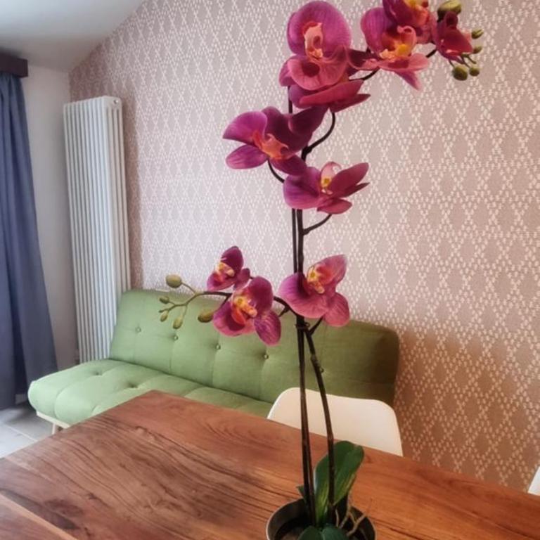 Casa Barcelli Sport & Family Apartments - Appartamento con 1 Camera da Letto - 7