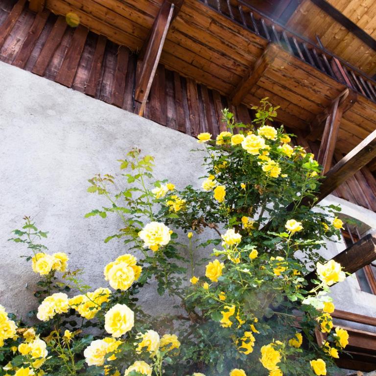 Chalet familial authentique avec jardin/cheminée - Chalet - 34
