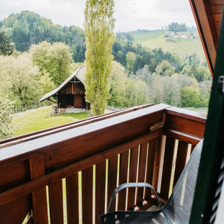 Ferienwohnung Perner - die Huabm - Appartamento con 1 Camera da Letto - 19